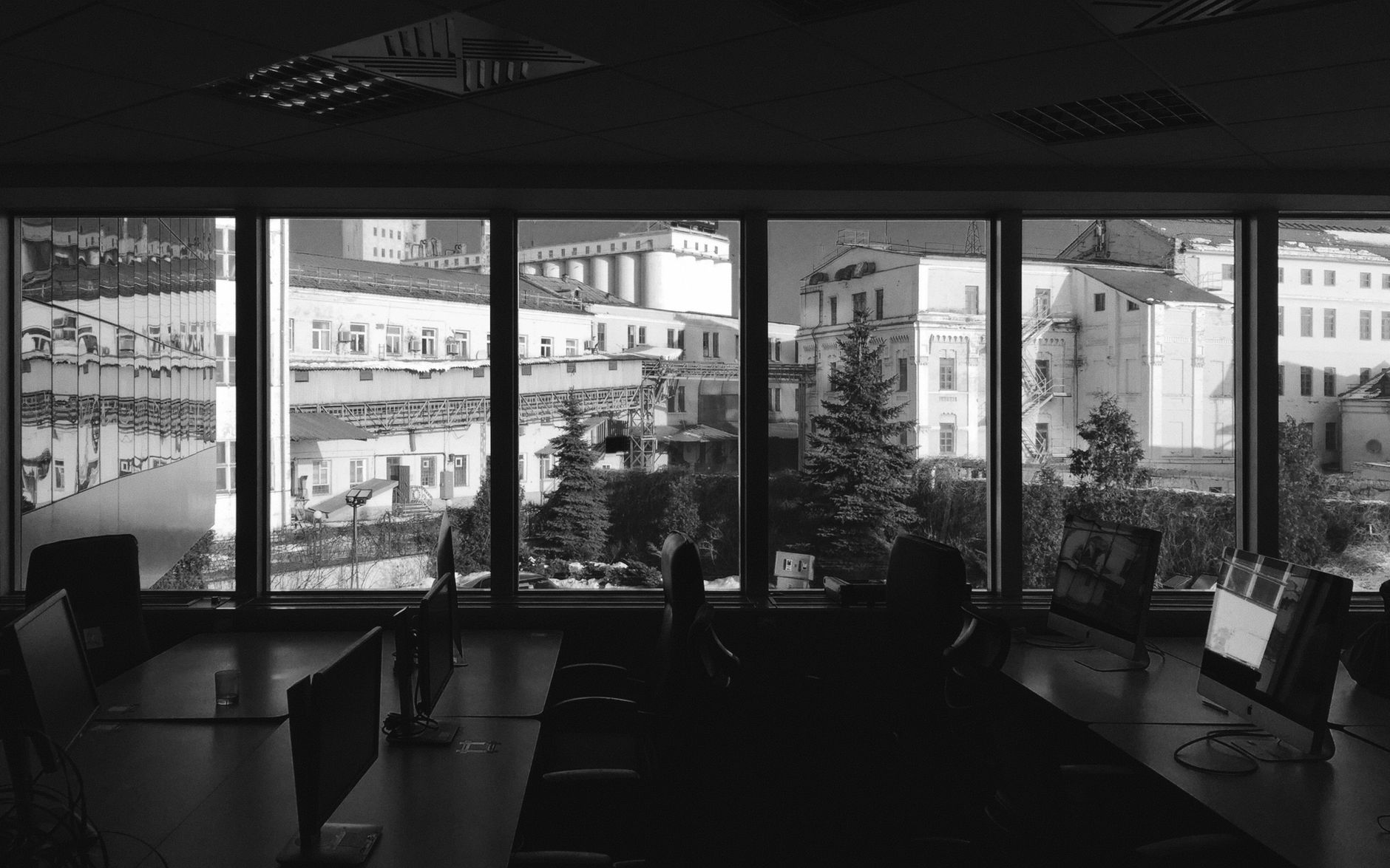 trees and buildings behind office windows